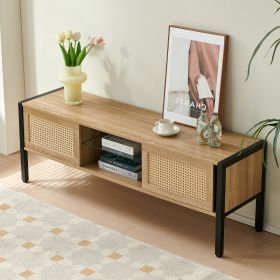 54.33  Rattan TV Cabinet With Color Light Strip   Double Sliding Doors