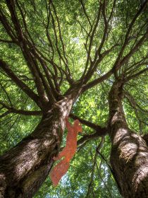 Rusty Wrought Iron Cat Art Outdoor Decor, Rustic Ornaments, Ideal For Patio