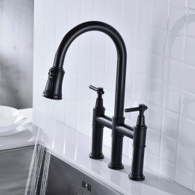 Pull Down Dual Handle Kitchen Faucet